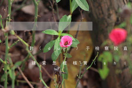 對(duì)于檢察院直接受理偵查案件的線索怎樣核實(shí)？